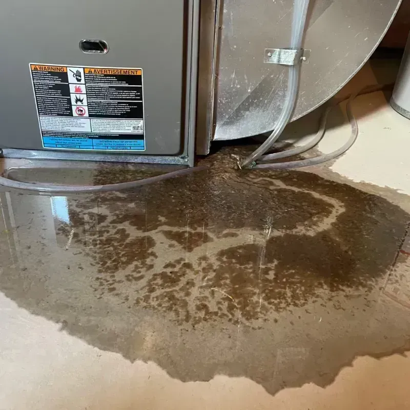 Appliance Leak Cleanup in Teller County, CO